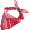Carré Bandana