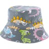 bob enfant herman 1874 motifs dinosaures