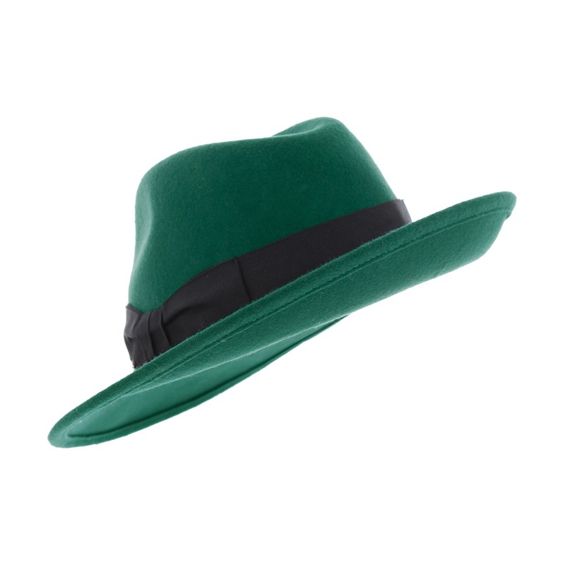 Large brim felt hat